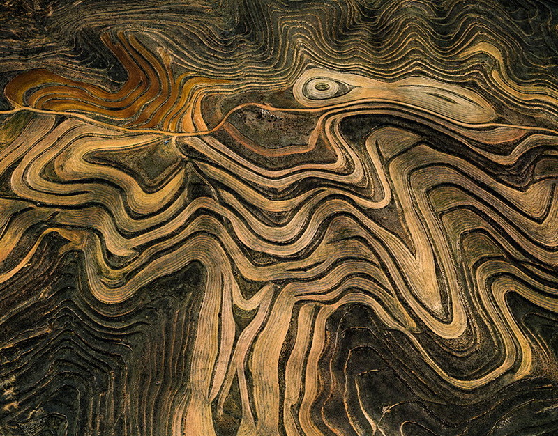 Жители Брянской области приняли участие в Лыжне России