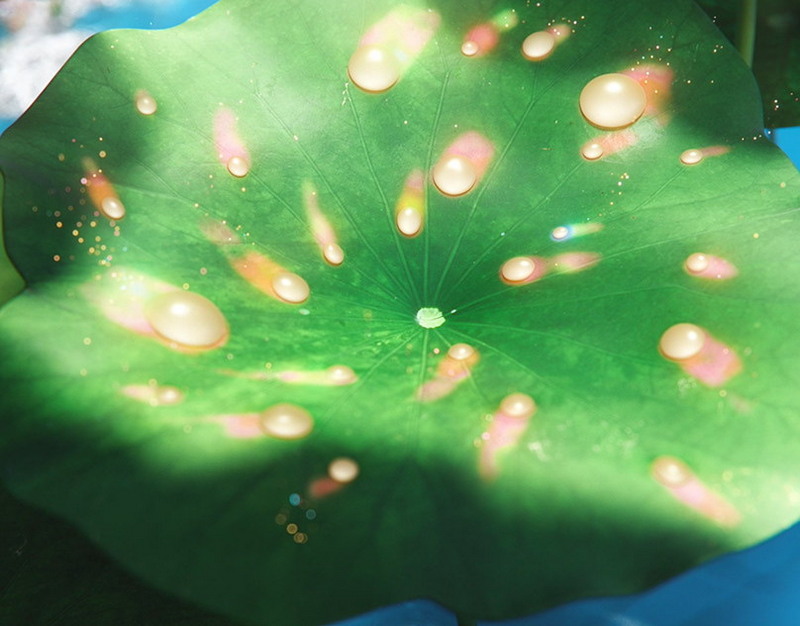 Правительство установило уровни индексации тарифов в сфере газоснабжения